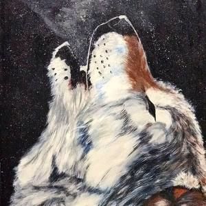 Meet your Posher, Willie